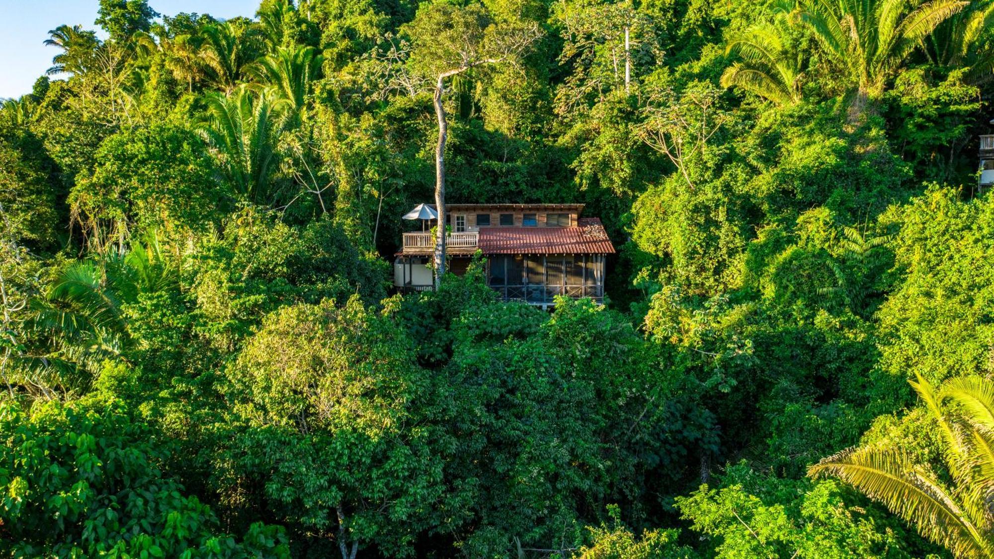 Ian Anderson Caves Branch Jungle Lodge Belmopan Dış mekan fotoğraf