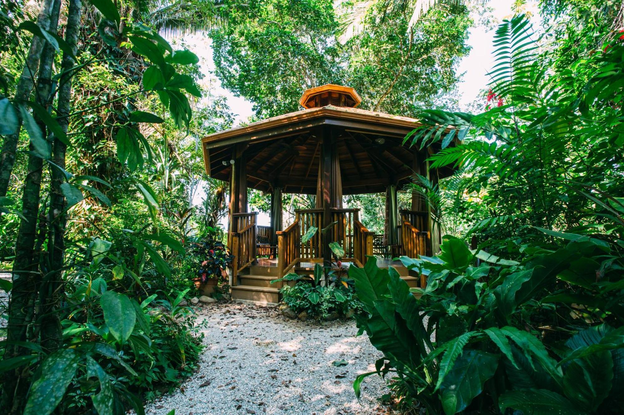 Ian Anderson Caves Branch Jungle Lodge Belmopan Dış mekan fotoğraf
